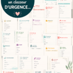 Dossier d'urgence organisé avec des documents essentiels pour la famille.