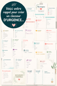 Dossier d'urgence organisé avec des documents essentiels pour la famille.