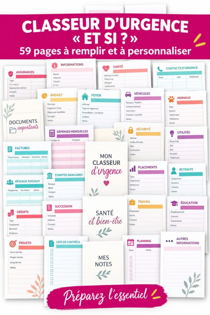 Capture d'écran des vues de stories Instagram sur un compte professionnel